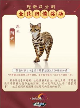 大荒天龙八部私服吧